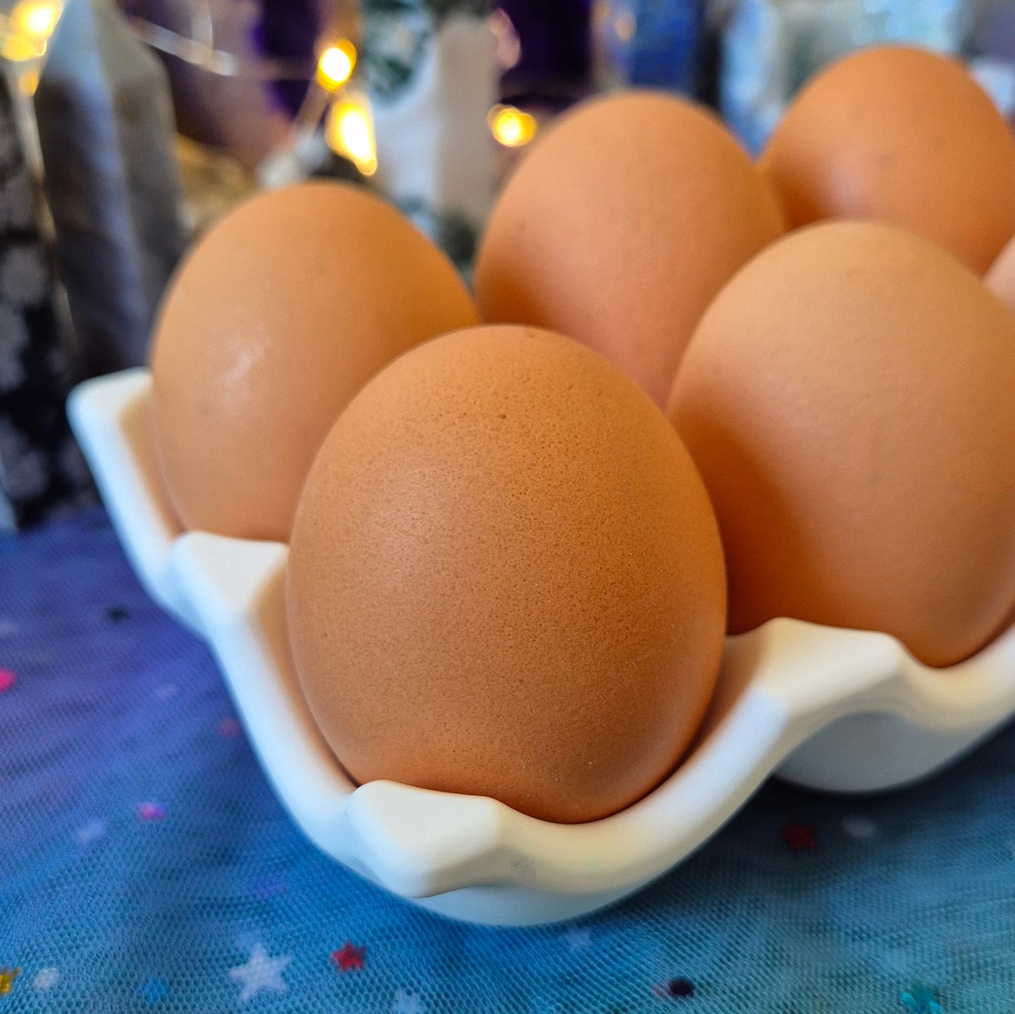 Egg Holder