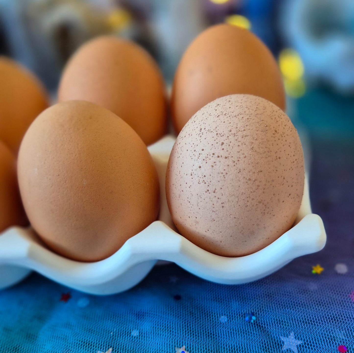 Egg Holder