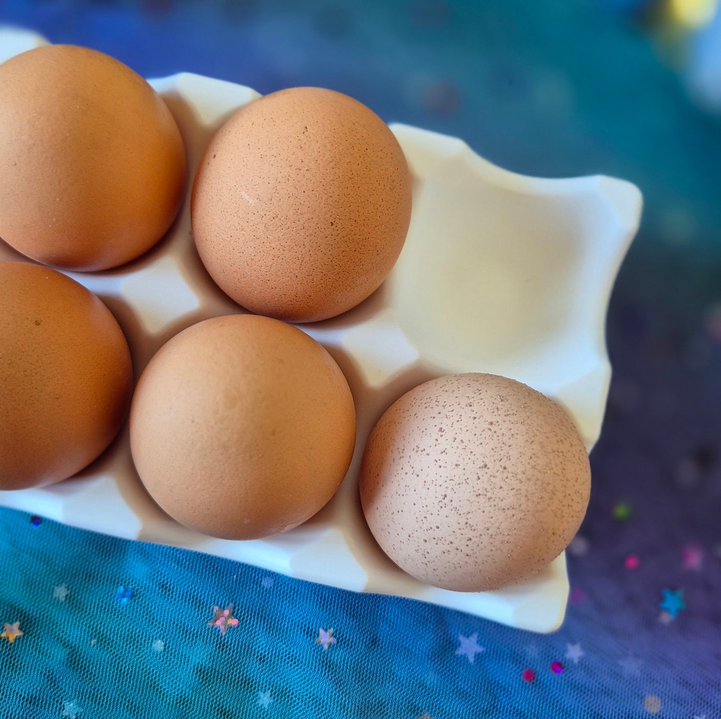 Egg Holder