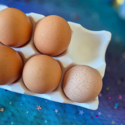 Egg Holder