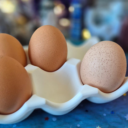Egg Holder