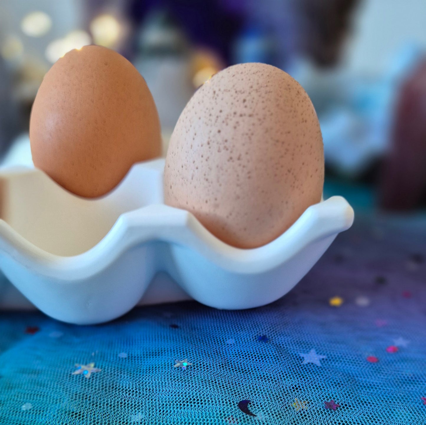 Egg Holder