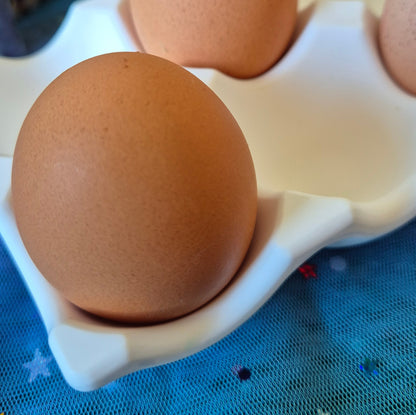 Egg Holder