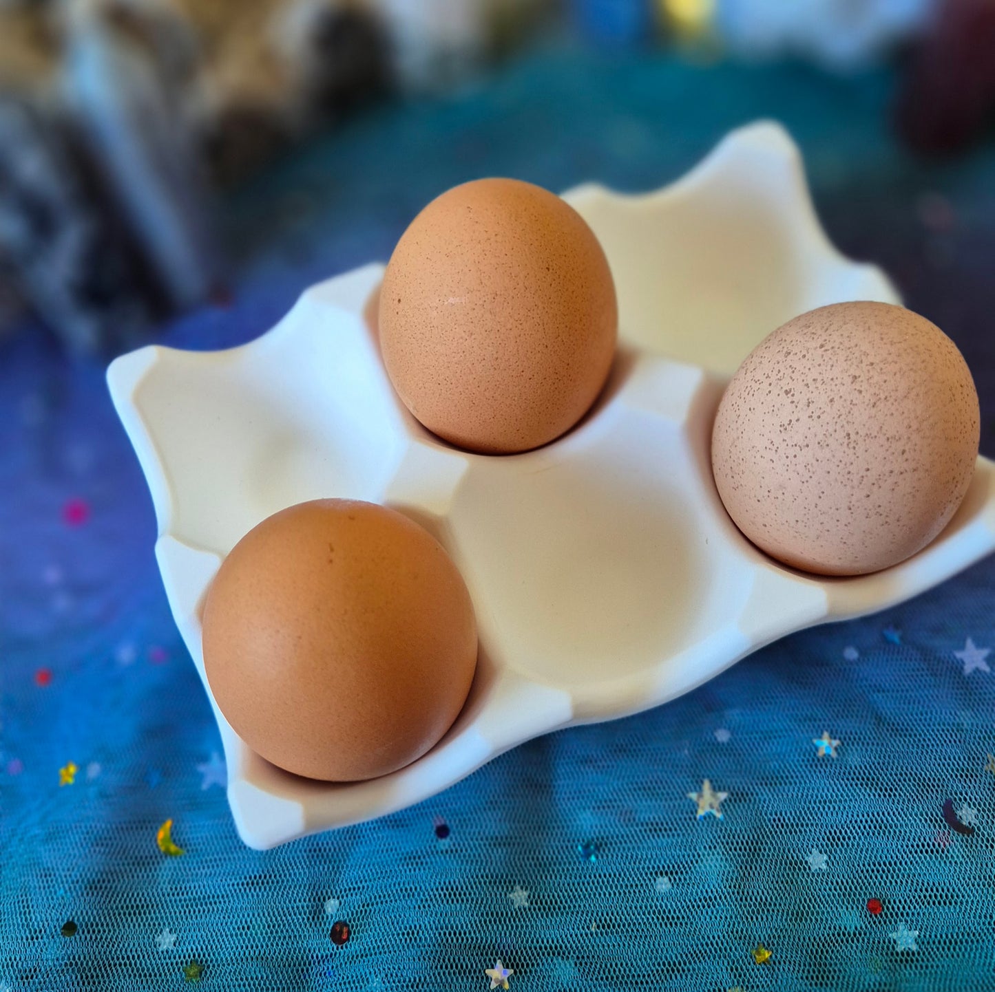 Egg Holder